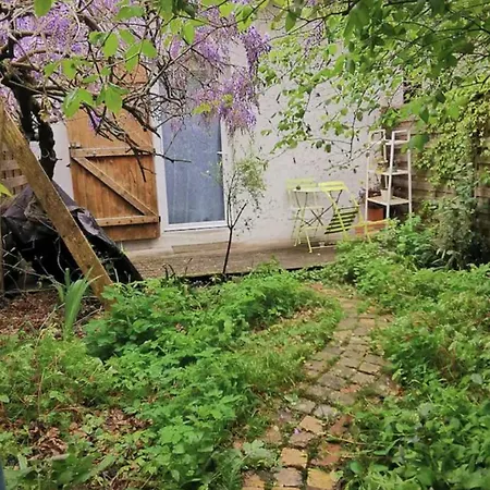 Studio With Its Small Backyard Perfect Location Apartment *
